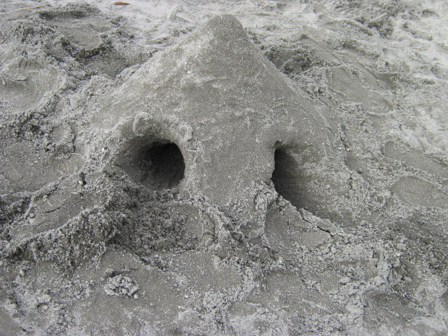 little-hands-make-sand-castles-december-4-2008-zaikouji-hyuga.jpg