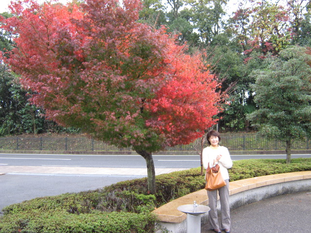 oita-november-34-2008-art-museum-red-tree.jpg